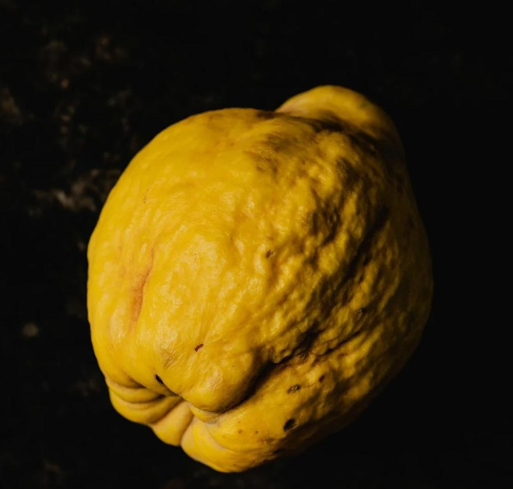 Айва